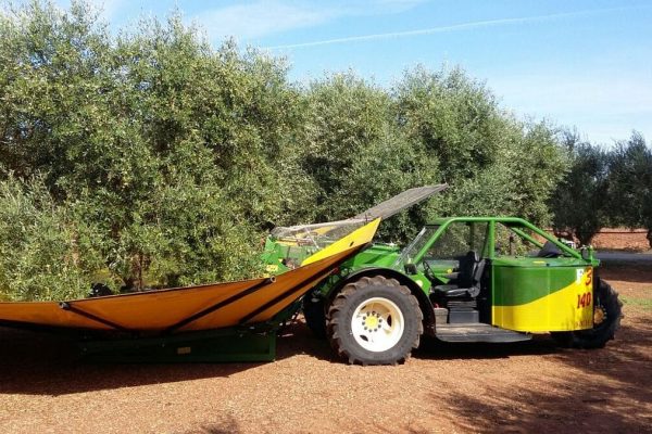 Sicma F3-11